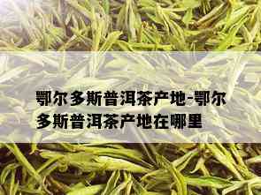 鄂尔多斯普洱茶产地-鄂尔多斯普洱茶产地在哪里