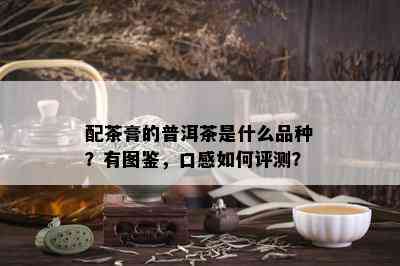 配茶膏的普洱茶是什么品种？有图鉴，口感如何评测？