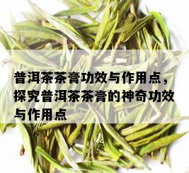 普洱茶茶膏功效与作用点，探究普洱茶茶膏的神奇功效与作用点