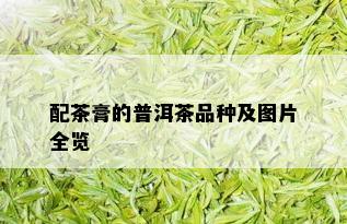 配茶膏的普洱茶品种及图片全览