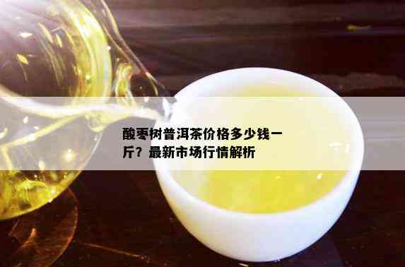 酸枣树普洱茶价格多少钱一斤？最新市场行情解析