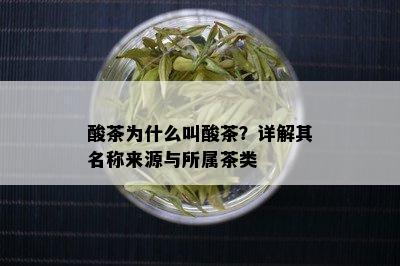 酸茶为什么叫酸茶？详解其名称来源与所属茶类