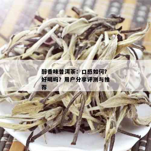 醇香味普洱茶：口感如何？好喝吗？用户分享评测与推荐