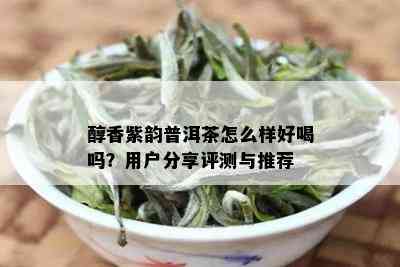 醇香紫韵普洱茶怎么样好喝吗？用户分享评测与推荐