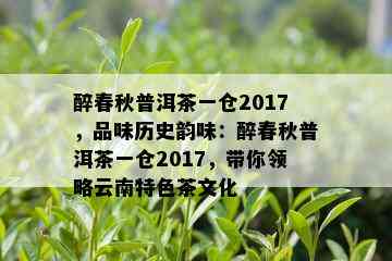 醉春秋普洱茶一仓2017，品味历史韵味：醉春秋普洱茶一仓2017，带你领略云南特色茶文化