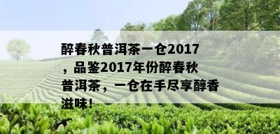 醉春秋普洱茶一仓2017，品鉴2017年份醉春秋普洱茶，一仓在手尽享醇香滋味！