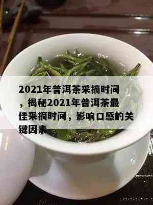 2021年普洱茶采摘时间，揭秘2021年普洱茶更佳采摘时间，影响口感的关键因素