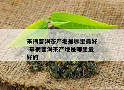 采摘普洱茶产地是哪里更好-采摘普洱茶产地是哪里更好的