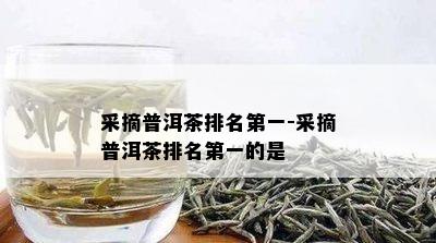 采摘普洱茶排名之一-采摘普洱茶排名之一的是