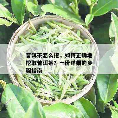 普洱茶怎么挖，如何正确地挖取普洱茶？一份详细的步骤指南