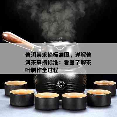 普洱茶采摘标准图，详解普洱茶采摘标准：看图了解茶叶制作全过程