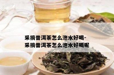 采摘普洱茶怎么泡水好喝-采摘普洱茶怎么泡水好喝呢