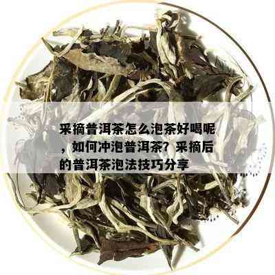 采摘普洱茶怎么泡茶好喝呢，如何冲泡普洱茶？采摘后的普洱茶泡法技巧分享