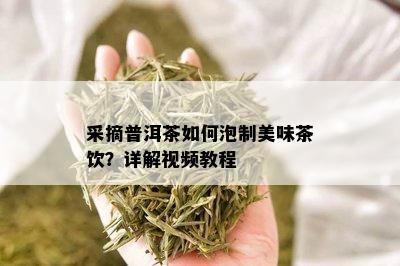 采摘普洱茶如何泡制美味茶饮？详解视频教程