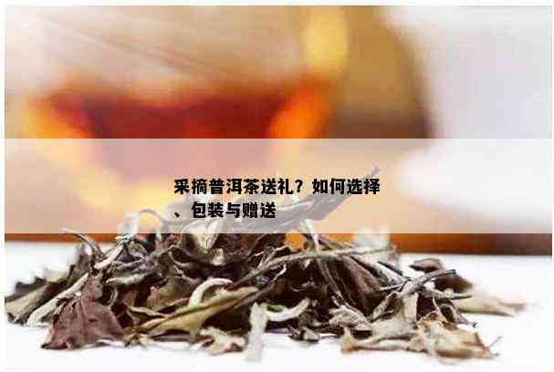 采摘普洱茶送礼？如何选择、包装与赠送