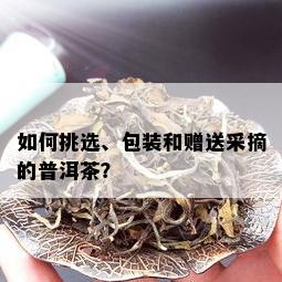 如何挑选、包装和赠送采摘的普洱茶？