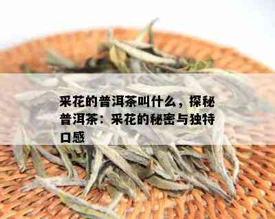 采花的普洱茶叫什么，探秘普洱茶：采花的秘密与独特口感