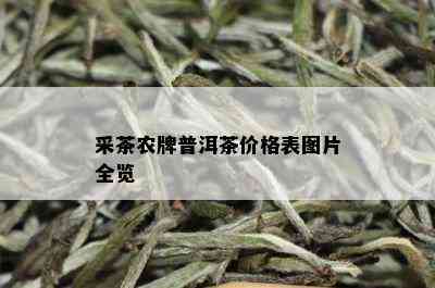 采茶农牌普洱茶价格表图片全览