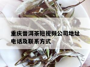 重庆普洱茶短视频公司地址电话及联系方式