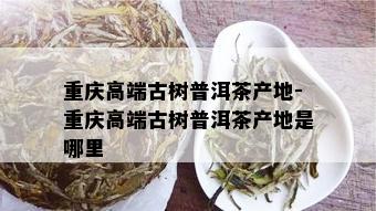 重庆高端古树普洱茶产地-重庆高端古树普洱茶产地是哪里