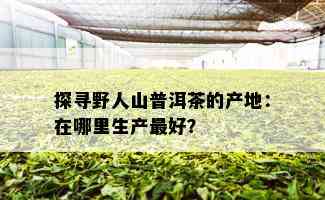 探寻野人山普洱茶的产地：在哪里生产更好？