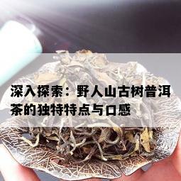 深入探索：野人山古树普洱茶的独特特点与口感