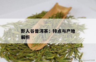 野人谷普洱茶：特点与产地解析