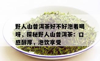 野人山普洱茶好不好泡着喝呀，探秘野人山普洱茶：口感醇厚，泡饮享受