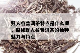 野人谷普洱茶特点是什么呢，探秘野人谷普洱茶的独特魅力与特点