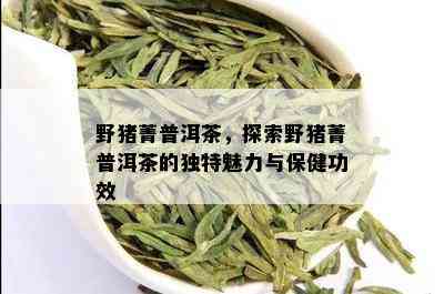 野猪菁普洱茶，探索野猪菁普洱茶的独特魅力与保健功效