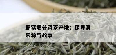 野猪塘普洱茶产地：探寻其来源与故事