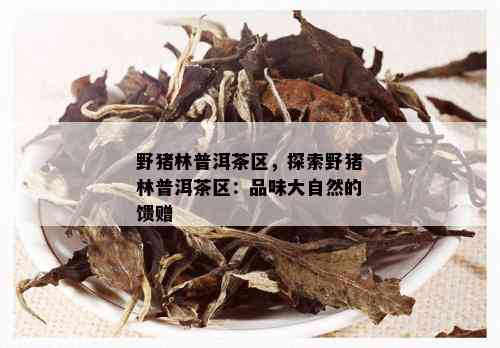 野猪林普洱茶区，探索野猪林普洱茶区：品味大自然的馈赠