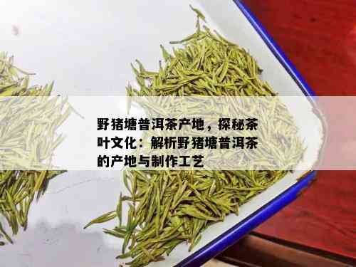 野猪塘普洱茶产地，探秘茶叶文化：解析野猪塘普洱茶的产地与制作工艺