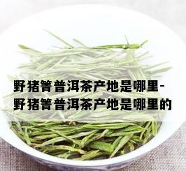 野猪箐普洱茶产地是哪里-野猪箐普洱茶产地是哪里的