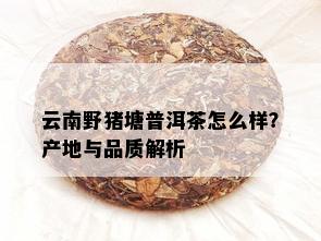 云南野猪塘普洱茶怎么样？产地与品质解析