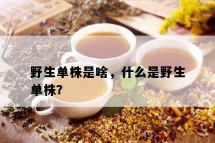 野生单株是啥，什么是野生单株？