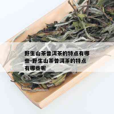 野生山茶普洱茶的特点有哪些-野生山茶普洱茶的特点有哪些呢