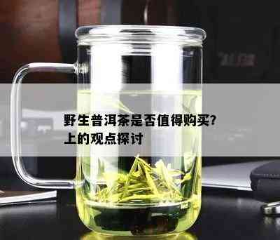 野生普洱茶是否值得购买？上的观点探讨