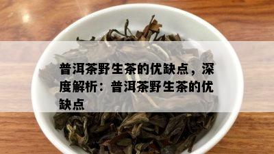 普洱茶野生茶的优缺点，深度解析：普洱茶野生茶的优缺点