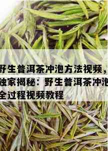 野生普洱茶冲泡方法视频，独家揭秘：野生普洱茶冲泡全过程视频教程