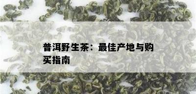 普洱野生茶：更佳产地与购买指南