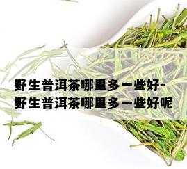 野生普洱茶哪里多一些好-野生普洱茶哪里多一些好呢