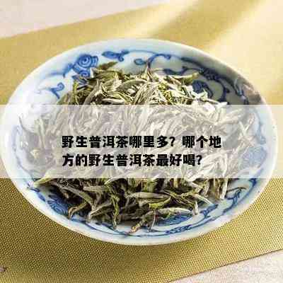 野生普洱茶哪里多？哪个地方的野生普洱茶更好喝？