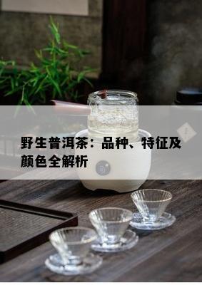 野生普洱茶：品种、特征及颜色全解析