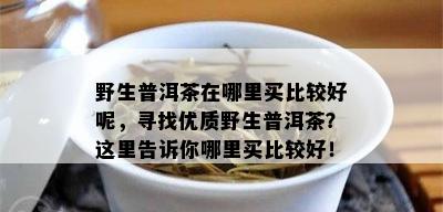 野生普洱茶在哪里买比较好呢，寻找优质野生普洱茶？这里告诉你哪里买比较好！