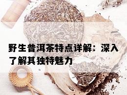 野生普洱茶特点详解：深入了解其独特魅力