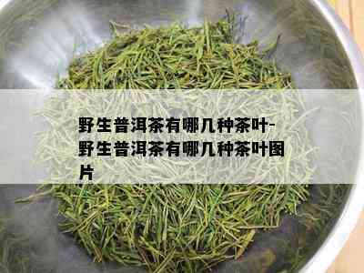 野生普洱茶有哪几种茶叶-野生普洱茶有哪几种茶叶图片