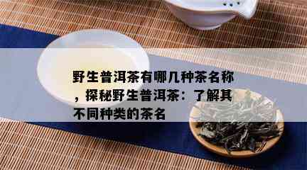 野生普洱茶有哪几种茶名称，探秘野生普洱茶：了解其不同种类的茶名