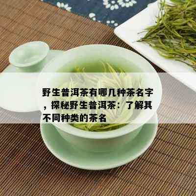 野生普洱茶有哪几种茶名字，探秘野生普洱茶：了解其不同种类的茶名