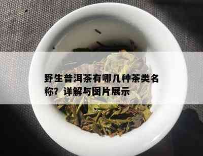 野生普洱茶有哪几种茶类名称？详解与图片展示